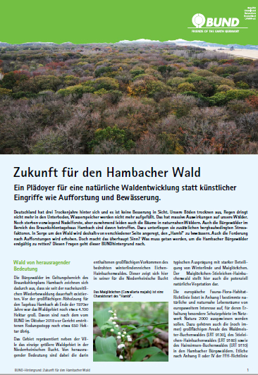 BUNDhintergrund: Zukunft für den Hambacher Wald