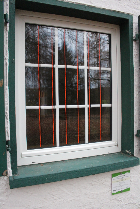 Mit Folien nachträglich beklebtes Fenster am BUND Wiesen und Weidenzentrum in St. Augustin. Das hochwirksame Muster besteht aus doppelten Punktreihen in schwarz und orange.