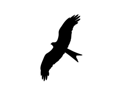 Vogelsilhouette: Kein wirksames Mittel gegen Vogelschlag an Glas.
