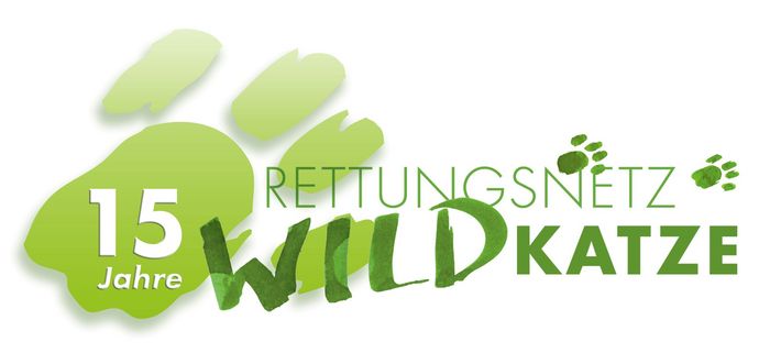 15 Jahre Rettungsnetz Wildkatze