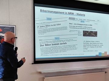 Dr. Armin Münzinger, LANUV: Historie des Bibermanagements NRW, in der Presse nachverfolgt
