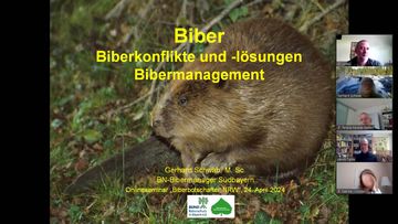 Vortrag von Gerhard Schwab, Biber-Managament in Südbayern