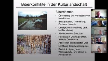 Vortrag von Gerhard Schwab, Biber-Manager Bayern: Konflikte und Lösungen , Bibermanagement in Bayern