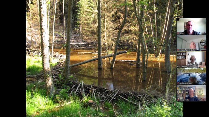 Lutz Dalbeck, Biberteich im Hürtgenwald