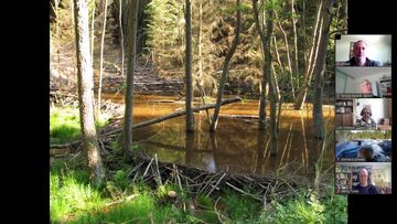 Lutz Dalbeck, Biberteich im Hürtgenwald