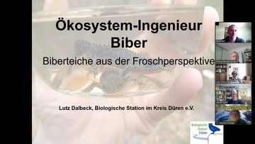 Vortrag Lutz Dalbeck, Ökosystem-Ingenieur Biber
