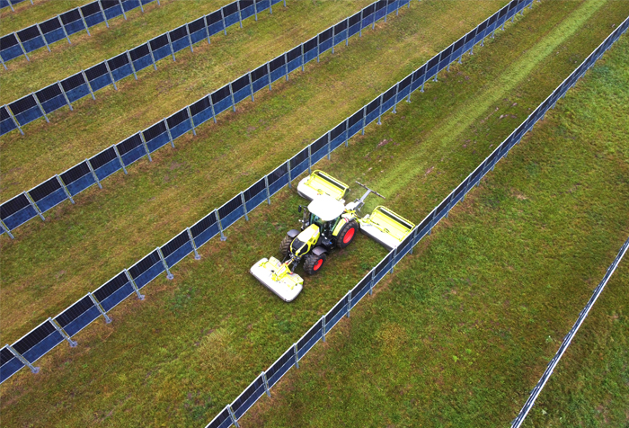 Vertikal errichtete, bifaziale Module im Solarpark Donaueschingen. [Foto: Solverde Bürgerkraftwerke Energiegenossenschaft eG]