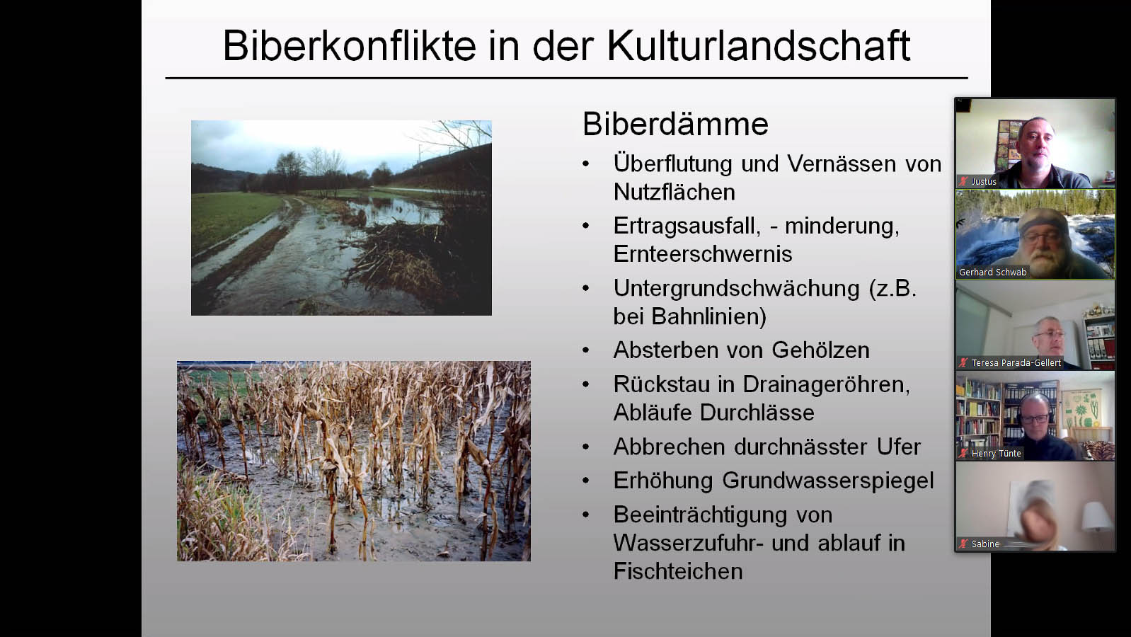 Vortrag von Gerhard Schwab, Biber-Manager Bayern: Konflikte und Lösungen , Bibermanagement in Bayern