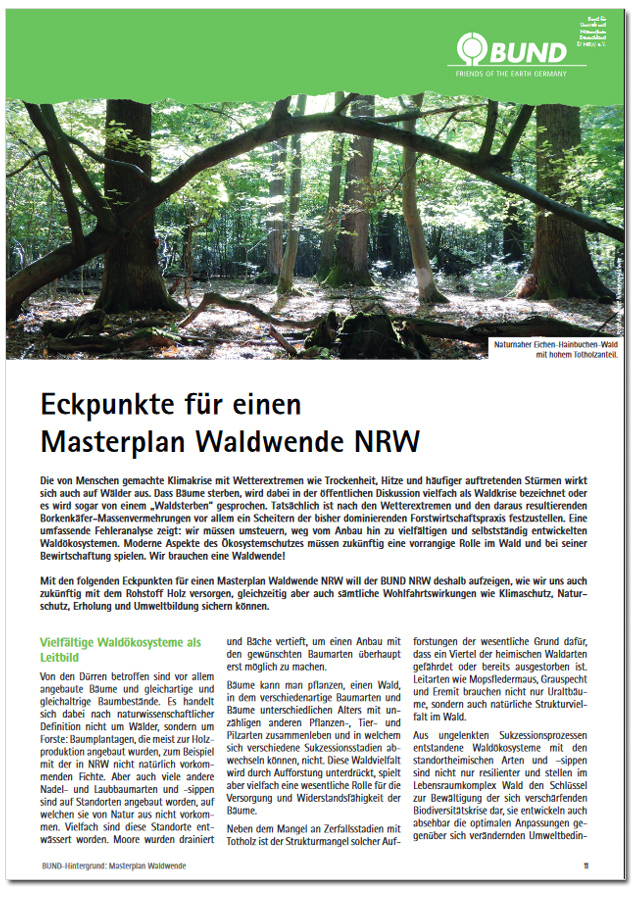 BUND-Hintergrund Masterplan Waldwende