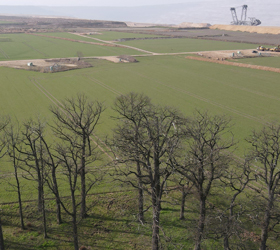 Der Bochheimer Wald soll dem Tagebau Hambach weichen. [Foto: Dirk Jansen]