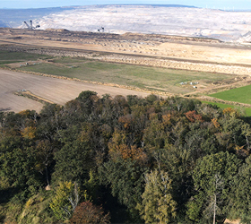 Der Bochheimer Wald wird vom Tagebau Hambach bedroht. [Foto: Dirk Jansen]