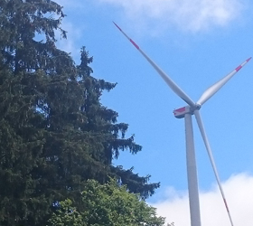 Windenergieanlage im Fichtenforst. [Foto: Dirk Jansen]