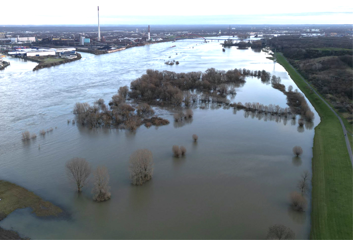Gebt den Flüssen wieder mehr Raum! Intakte Auen und flussferne Deiche sind am Rhein angewandter Hochwasserschutz. [Foto: Dario Deilmann]